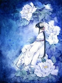 铁血柔情泪